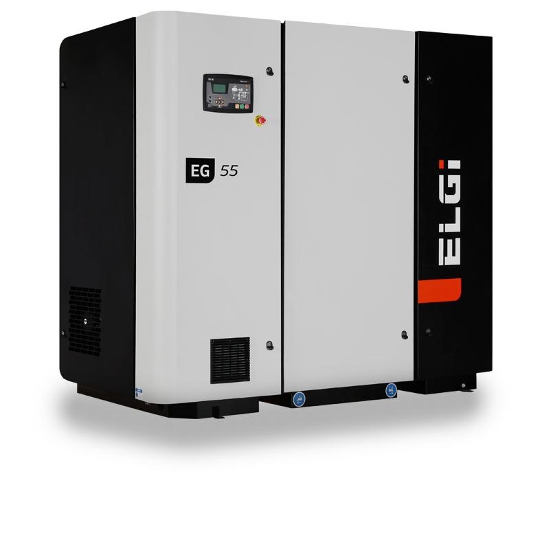 ELGi EG 55 air compressor